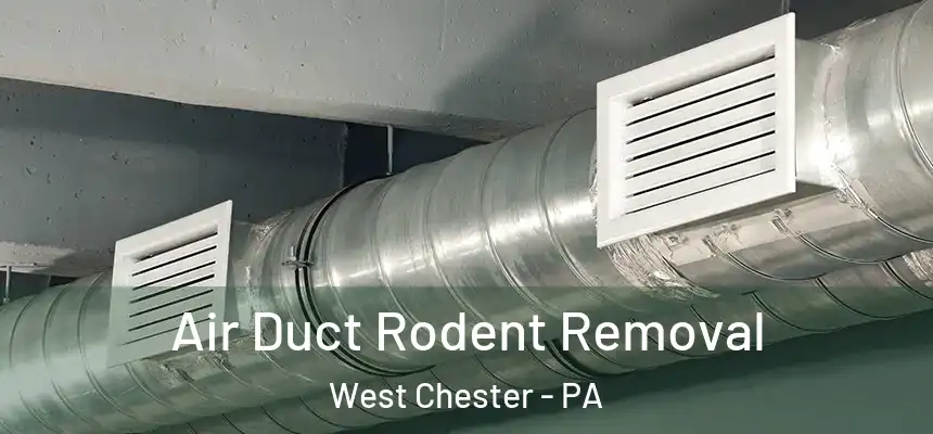  Air Duct Rodent Removal West Chester - PA