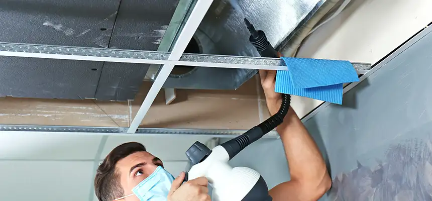 Our Air Duct Rodent Removal Services in West Chester, PA