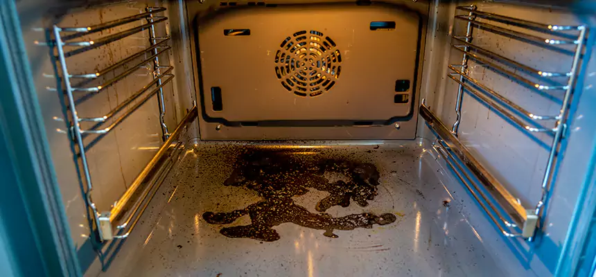 Our Dryer Vent Mold Cleaning Services in West Chester, PA