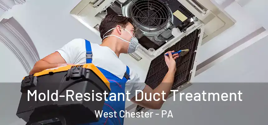  Mold-Resistant Duct Treatment West Chester - PA