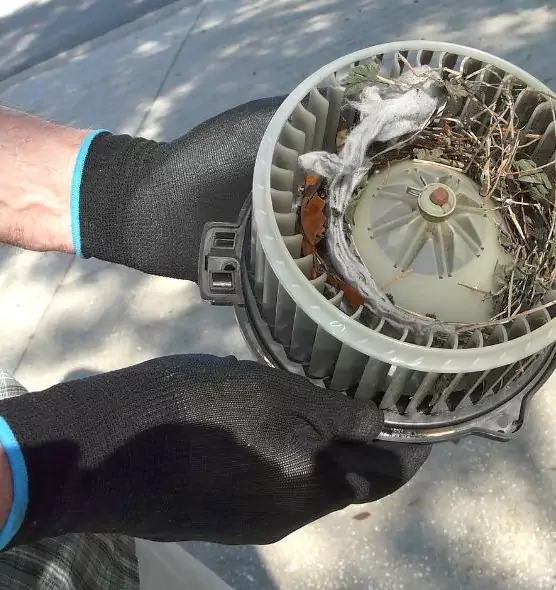 About Air Duct Mice Removal in West Chester, PA